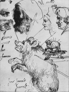 Tutkimukset Carracci -perheen impresaksi tekijältä Agostino Carracci